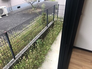 小野駅 徒歩7分 2階の物件内観写真